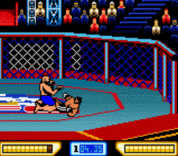 UFC: Ultimate Fighting Championship screen shot 2 2