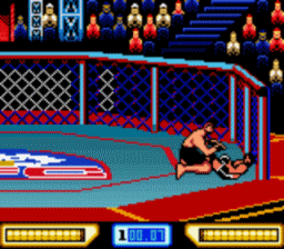 UFC: Ultimate Fighting Championship screen shot 3 3